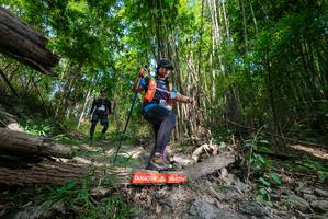 BIB: 
                            <button type="button" onclick="openModal(19392783)" class="btn btn-primary btn-sm float-right btn-popup" data-toggle="modal" data-target=".modal-high-quality">
                        <i class="fas fa-shopping-cart"></i> Add to Cart
                    </button>
                                            <button type="button" onclick="isThisMe(19392783, true)" class="btn btn-success btn-sm float-right btn-popup btn-isme hidden" data-toggle="tooltip" data-placement="bottom" title="นี่คือรูปของคุณใช่ไหม คลิกที่นี่เพื่อเอาเข้าอัลบั้ม">
                        <i class="fas fa-plus"></i> Add to album
                    </button>
                    <button type="button" onclick="isThisMe(19392783, false)" class="btn btn-warning btn-sm float-right btn-popup btn-isnotme hidden">
                        <i class="fas fa-ban"></i> Remove from album
                    </button>